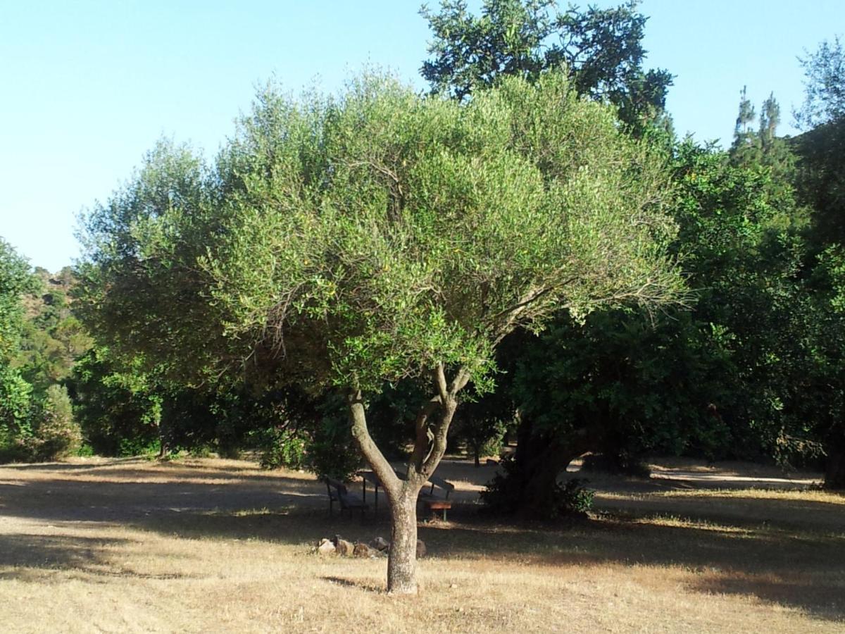 La Casa Di Sara Villa Pula Dış mekan fotoğraf