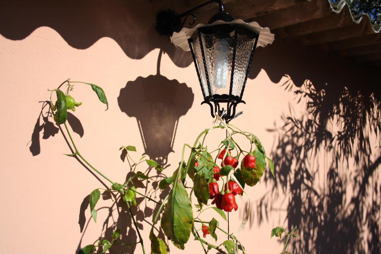 La Casa Di Sara Villa Pula Dış mekan fotoğraf